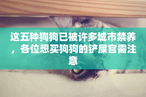 這五種狗狗已被許多城市禁養，各位想買狗狗的鏟屎官需注意