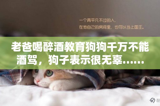老爸喝醉酒教育狗狗千萬不能酒駕，狗子表示很無辜……