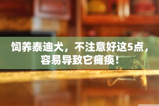 飼養泰迪犬，不注意好這5點，容易導致它癱瘓！