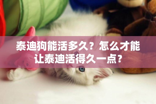 泰迪狗能活多久？怎么才能讓泰迪活得久一點？