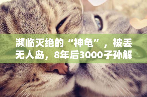 瀕臨滅絕的“神龜”，被丟無人島，8年后3000子孫解決滅族危機