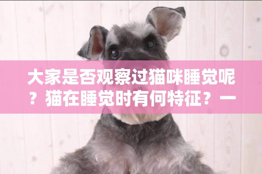 大家是否觀察過貓咪睡覺呢？貓在睡覺時有何特征？一起來看看吧！