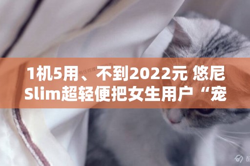 1機5用、不到2022元 悠尼Slim超輕便把女生用戶“寵上天”