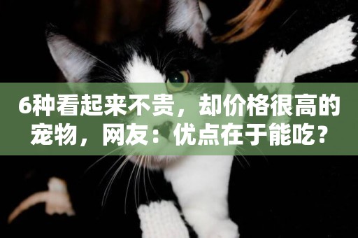 6種看起來不貴，卻價格很高的寵物，網友：優點在于能吃？