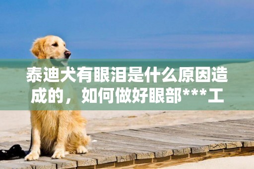 泰迪犬有眼淚是什么原因造成的，如何做好眼部***工作？