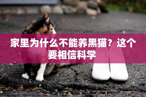 家里為什么不能養黑貓？這個要相信科學 