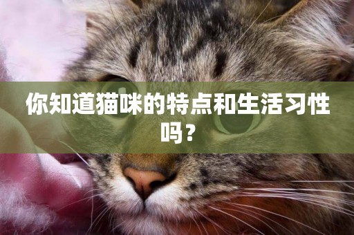 你知道貓咪的特點和生活習性嗎？