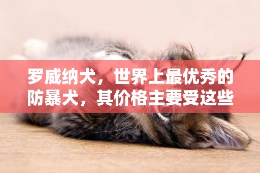 羅威納犬，世界上最優秀的防暴犬，其價格主要受這些因素影響