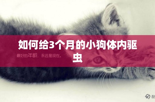 如何給3個月的小狗體內驅蟲