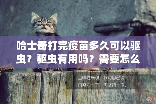 哈士奇打完疫苗多久可以驅蟲？驅蟲有用嗎？需要怎么養身？