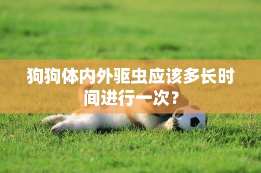 狗狗體內外驅蟲應該多長時間進行一次？