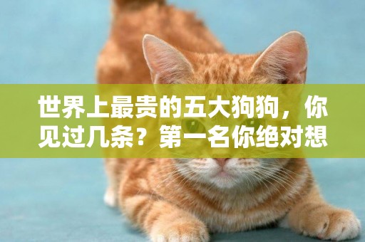 世界上最貴的五大狗狗，你見過幾條？第一名你絕對想不到