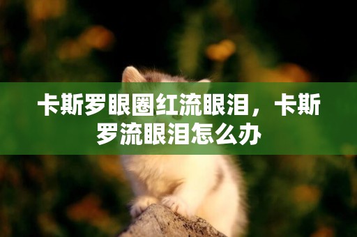 卡斯羅眼圈紅流眼淚，卡斯羅流眼淚怎么辦