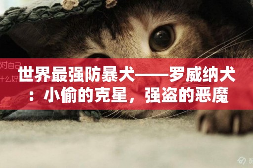 世界最強防暴犬——羅威納犬：小偷的克星，強盜的惡魔