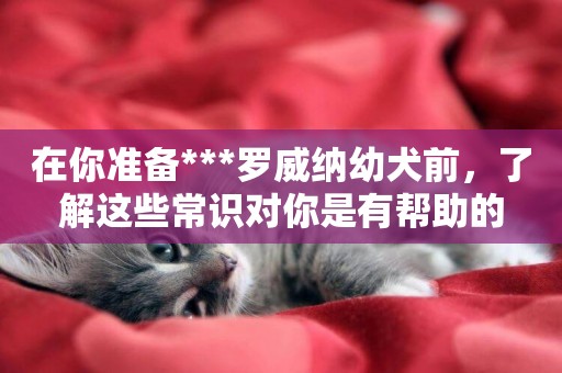 在你準備***羅威納幼犬前，了解這些常識對你是有幫助的