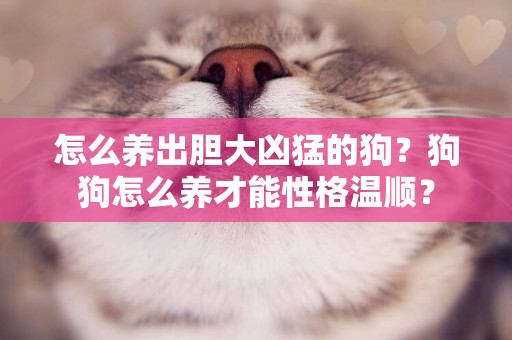 怎么養出膽大兇猛的狗？狗狗怎么養才能性格溫順？