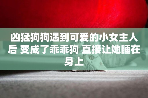 兇猛狗狗遇到可愛的小女主人后 變成了乖乖狗 直接讓她睡在身上