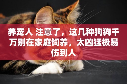 養寵人 注意了，這幾種狗狗千萬別在家庭飼養，太兇猛極易傷到人