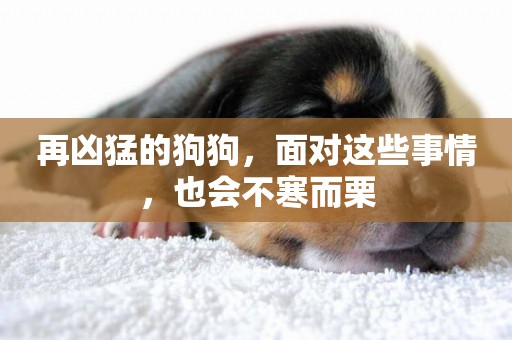 再兇猛的狗狗，面對這些事情，也會不寒而栗
