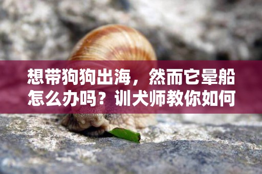想帶狗狗出海，然而它暈船怎么辦嗎？訓犬師教你如何讓狗狗喜歡船