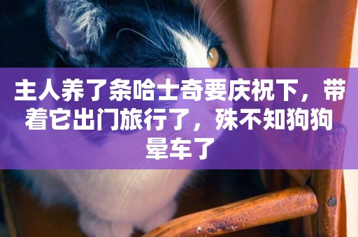 主人養了條哈士奇要慶祝下，帶著它出門旅行了，殊不知狗狗暈車了