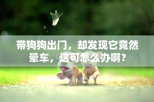 帶狗狗出門，卻發現它竟然暈車，這可怎么辦啊？