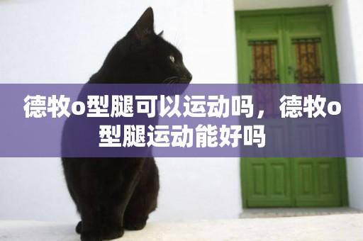 德牧o型腿可以運動嗎，德牧o型腿運動能好嗎