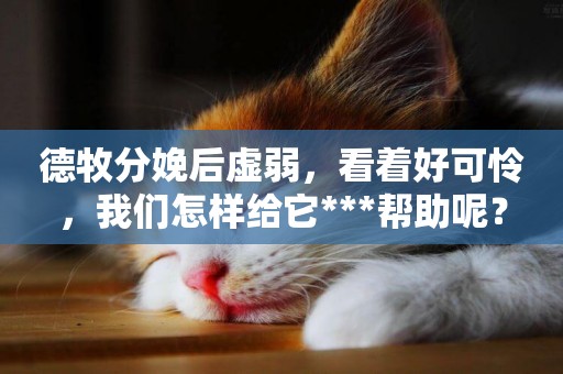 德牧分娩后虛弱，看著好可憐，我們怎樣給它***幫助呢？