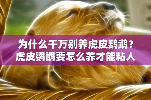 為什么千萬別養虎皮鸚鵡？虎皮鸚鵡要怎么養才能粘人？