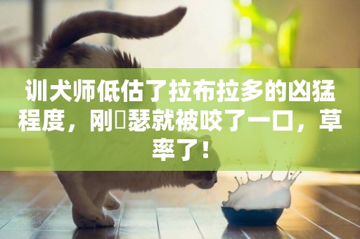 訓犬師低估了拉布拉多的兇猛程度，剛嘚瑟就被咬了一口，草率了！