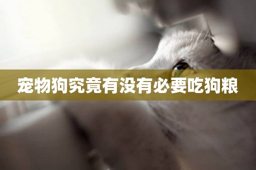 寵物狗究竟有沒有必要吃狗糧