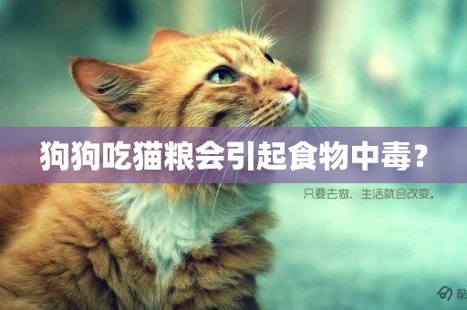 狗狗吃貓糧會引起食物中毒？