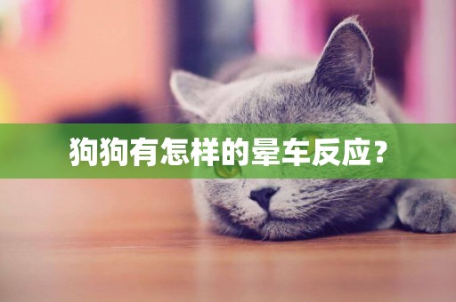 狗狗有怎樣的暈車反應？