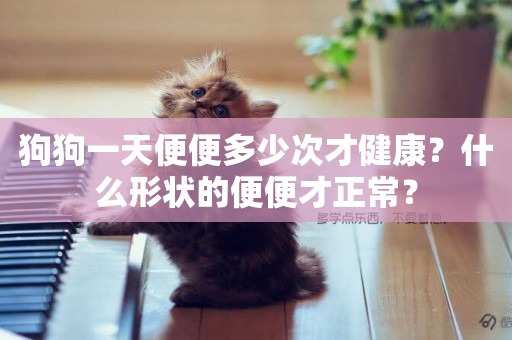 狗狗一天便便多少次才健康？什么形狀的便便才正常？