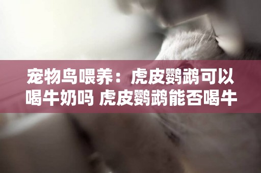寵物鳥喂養：虎皮鸚鵡可以喝牛奶嗎 虎皮鸚鵡能否喝牛奶？