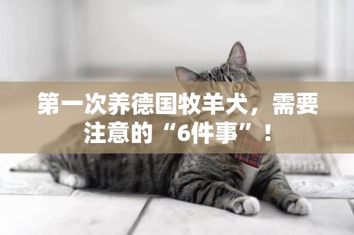 第一次養德國牧羊犬，需要注意的“6件事”！