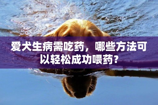 愛犬生病需吃藥，哪些方法可以輕松成功喂藥？