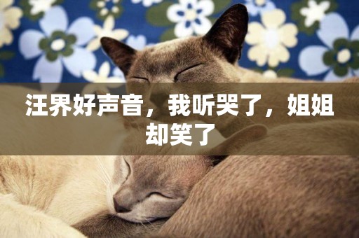 汪界好聲音，我聽哭了，姐姐卻笑了