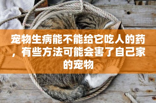 寵物生病能不能給它吃人的藥，有些方法可能會害了自己家的寵物