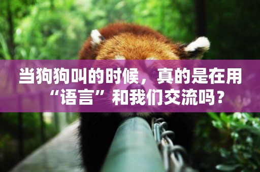 當狗狗叫的時候，真的是在用“語言”和我們交流嗎？