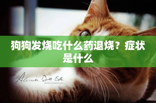 狗狗發燒吃什么藥退燒？癥狀是什么