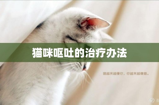 貓咪嘔吐的治療辦法