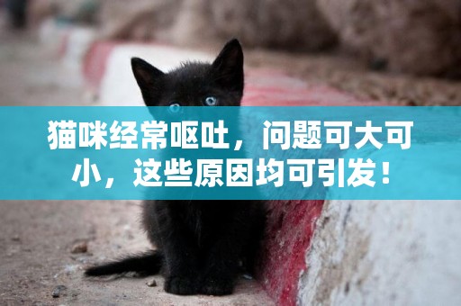 貓咪經常嘔吐，問題可大可小，這些原因均可引發！