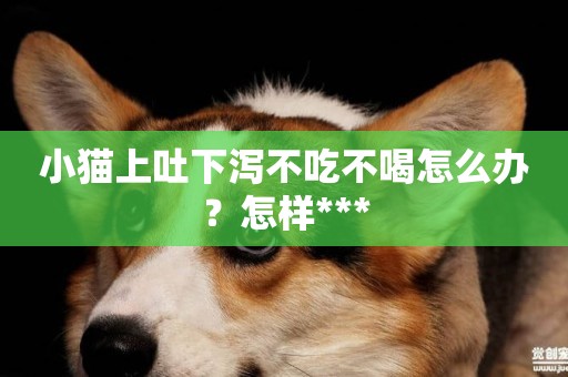 小貓上吐下瀉不吃不喝怎么辦？怎樣***