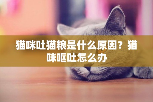 貓咪吐貓糧是什么原因？貓咪嘔吐怎么辦