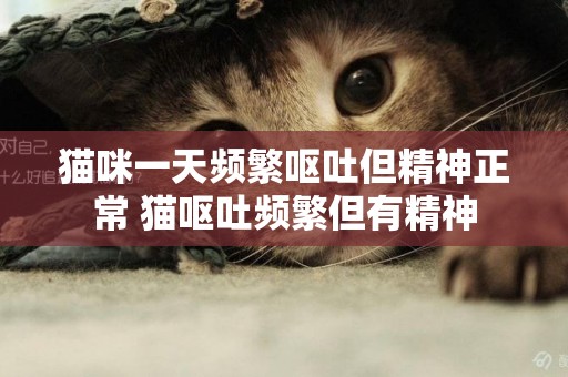 貓咪一天頻繁嘔吐但精神正常 貓嘔吐頻繁但有精神