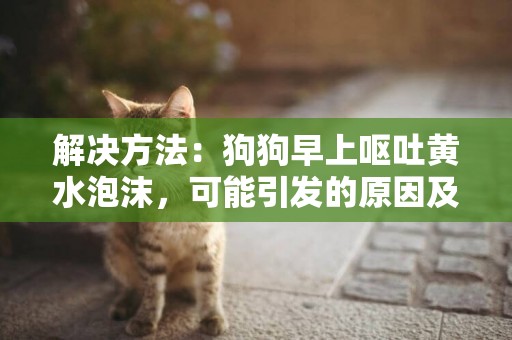解決方法：狗狗早上嘔吐黃水泡沫，可能引發的原因及***方法