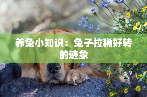 養兔小知識：兔子拉稀好轉的跡象