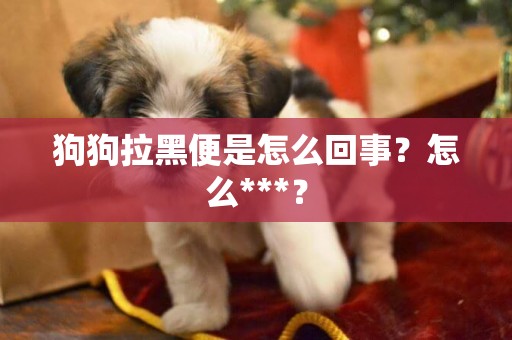 狗狗拉黑便是怎么回事？怎么***？