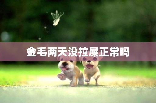金毛兩天沒拉屎正常嗎